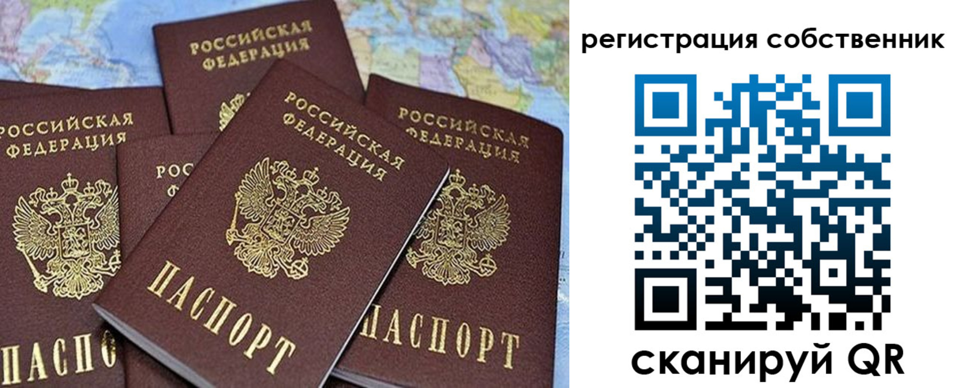 прописка для школы в Домодедово